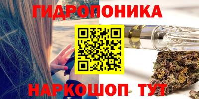 индика Кулебаки