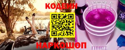 индика Кулебаки