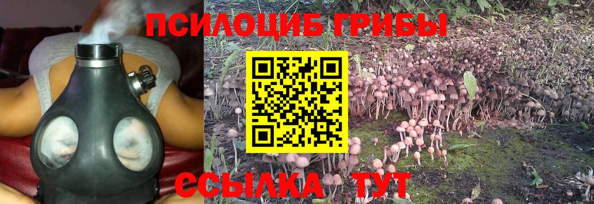 Галлюциногенные грибы MAGIC MUSHROOMS Жигулёвск